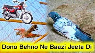 Dono Behno Ne Baazi Jeeta Di  Dono Cup Me Number 1 Ane Wali Chat | Pigeons Club
