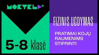 Mokykla+ | Fizinis ugdymas | 5-8 klasė | Pratimai kojų raumenims stiprinti || Laisvės TV X