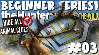 Hunting the BIGGEST ELK I'VE EVER SEEN at Level 7! Beginner Series Part 3 | Call of the Wild