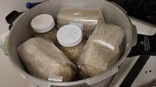 Making Grain Spawn for Growing Mushrooms - Better Than Uncle Bens
