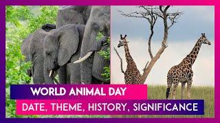 World Animal Day: Know Date, Theme, History & Significance Of This Day