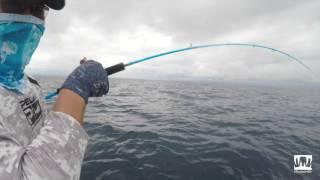 Prohunter Kaido Slow Pitch Rod in Action