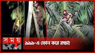 ডাব চুরি করতে গিয়ে গাছেই অজ্ঞান, ৬ ঘন্টা পর উদ্ধার! | Coconut Thief | Viral News | Faridpur News