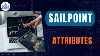 Attributes | Learn Sailpoint | Overview on Sailpoint | Sailpoin for Beginners | Cyberbrainer