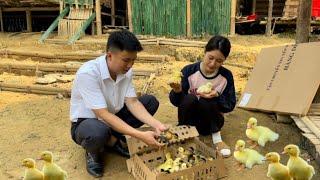 The kind engineer helps a single mother build a farm and helps her buy ducklings | Ma Tieu Ly