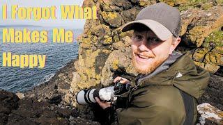 Wildlife Photography on Rathlin Island | islomania