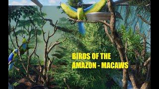 "Birds of the Amazon" Macaws Speed Build - ZSU Esbjerg Zoo - Planet Zoo