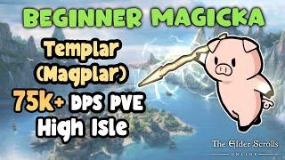 ESO Beginner Magicka Templar (Magplar) 75k+ PVE DPS Build High Isle