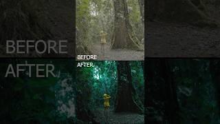 Color grading on steroids. Before vs After.    #colorgrading #costarica #travel  #cinematic