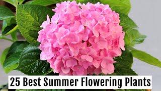 Grow These 25 BEST Summer Flowering Plants This Season - PART 1