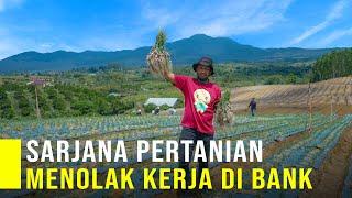 Sarjana Pertanian Jadi Petani Bawang Dan Menolak Kerja Di Bank