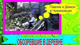 Обозревшие в деревне