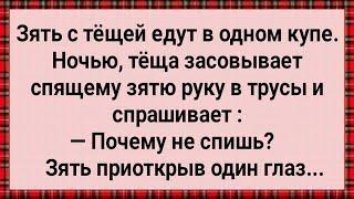 Как Теща Спящему Зятю в Труселя Залезла! Сборник Свежих Анекдотов! Юмор!