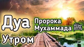 ️Дуа утром на Удачу. Читал  Пророк МУХАММАДﷺ