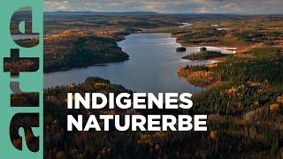 Das nördliche Québec | Naturerbe Kanada | ARTE Family