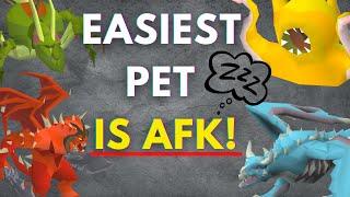 OSRS - The EASIEST pet in game while AFK! #runescape