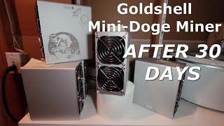 Mini Dogecoin + Litecoin Miner | After 30 Days!