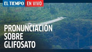 Corte Constitucional se pronuncia sobre el uso de glifosato en Colombia