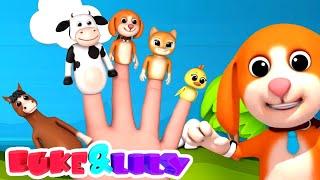 Família dedo de animais | Canção infantil | Musica para bebes | Luke and Lily Português | Educação