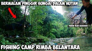 Camp Fishing Adventure Jelajah Hulu Sungai Dalam Hutan Ketemu Sarangnya Ikan Dewa