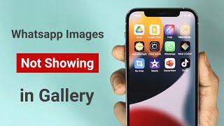 FIX - WhatsApp Images Not Showing in Gallery of iPhone