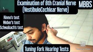 Examination of 8th Cranial Nerve (VestibuloCochlear Nerve) | MUHS | #mbbs #physiology #practical