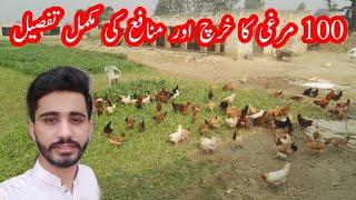 Golden misri hen farming in pakistan||100 hens complete profit details||poultry farm business plan