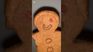 stranger things: gingerbread edition  #shorts #strangerthings #sadiesink