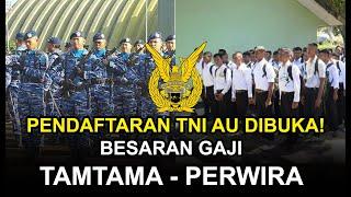 Pendaftaran TNI AU Dibuka! Ini Besaran Gaji TAMTAMA - PERWIRA TNI AU dan Tunjangannya!