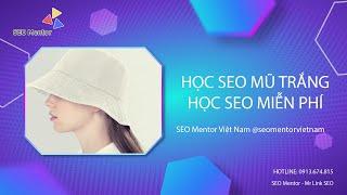 Làm sao tự để học SEO mũ trắng hiệu quả cao?