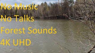 A relaxing walk through a beautiful place with mini mountains and forest lake! 4K UHD Walking tour