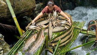 How To Make A Primitive Fish Trap - Catch A Lot Of Fish During The Rainy Season