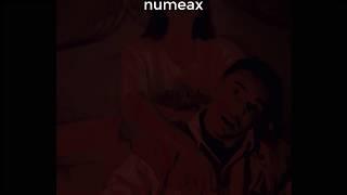 CAPITAL BRA - CHERRY LADY | Lyrics | Numeax