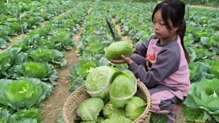 Homeless boy VN : Life is unhappy, having to beg for vegetables to sell to make a living