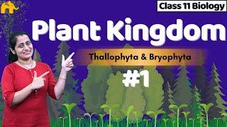 Plant Kingdom Class 11 Biology | NCERT Chapter 3 | CBSE | Kingdom Plantae  One Shot Complete Chapter