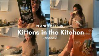 Kittens in the Kitchen Ep 2 | Chatting and chopping; Mushroom Veggie Soup with Rice Noodles| 4.224