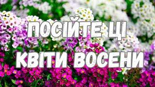 ПОСІЙТЕ ЦІ КВІТИ ПІД ЗИМУ