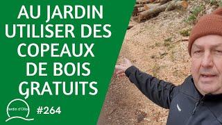 #264-Au jardin, comment utiliser des copeaux de bois gratuits 🪵