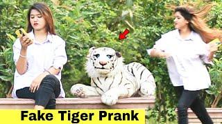 Fake Tiger Prank On Cute Girl | @HitPranks