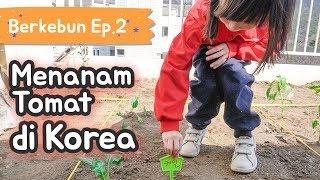 Korea + Indonesia Family Vlog | Bertanam buah dan sayur bersama anak-anak!