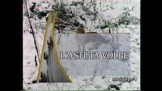 Geo: L'astuta volpe (07.02.1994)