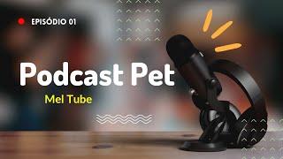 RUI ENTREVISTA: AS CACHORRINHAS MAIS MALUCAS EP. 01 AVENTURAS MEL TUBE