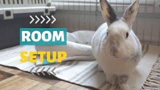 Bunny Room Tour! | Free Roam 