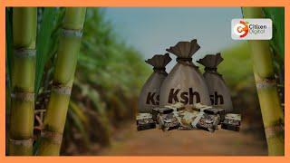 Government releases Ksh.564 million to settle salary arrears of sugar milling company workers