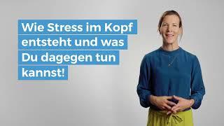 Stress im Kopf – woher er kommt und was Du dagegen tun kann