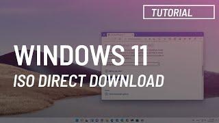 Windows 11: ISO file direct download