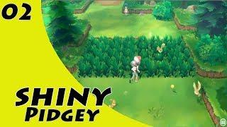 Shiny Pidgey - Route 1, 33 ENCOUNTERS - Pokemon Let's Go Eevee