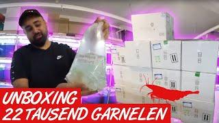 22.000 GARNELEN!! UNBOXING DELUXE 