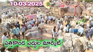 పత్తికొండ సోమవారం ఎద్దుల సంతలో రేట్లు//Pattikonda Monday bull's Market-letest video-Oxe's 2025