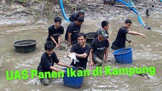 Seru‼️UAS Ajak UFA Panen Ikan di Kampung | Silau Laut - Asahan, Sumatera Utara